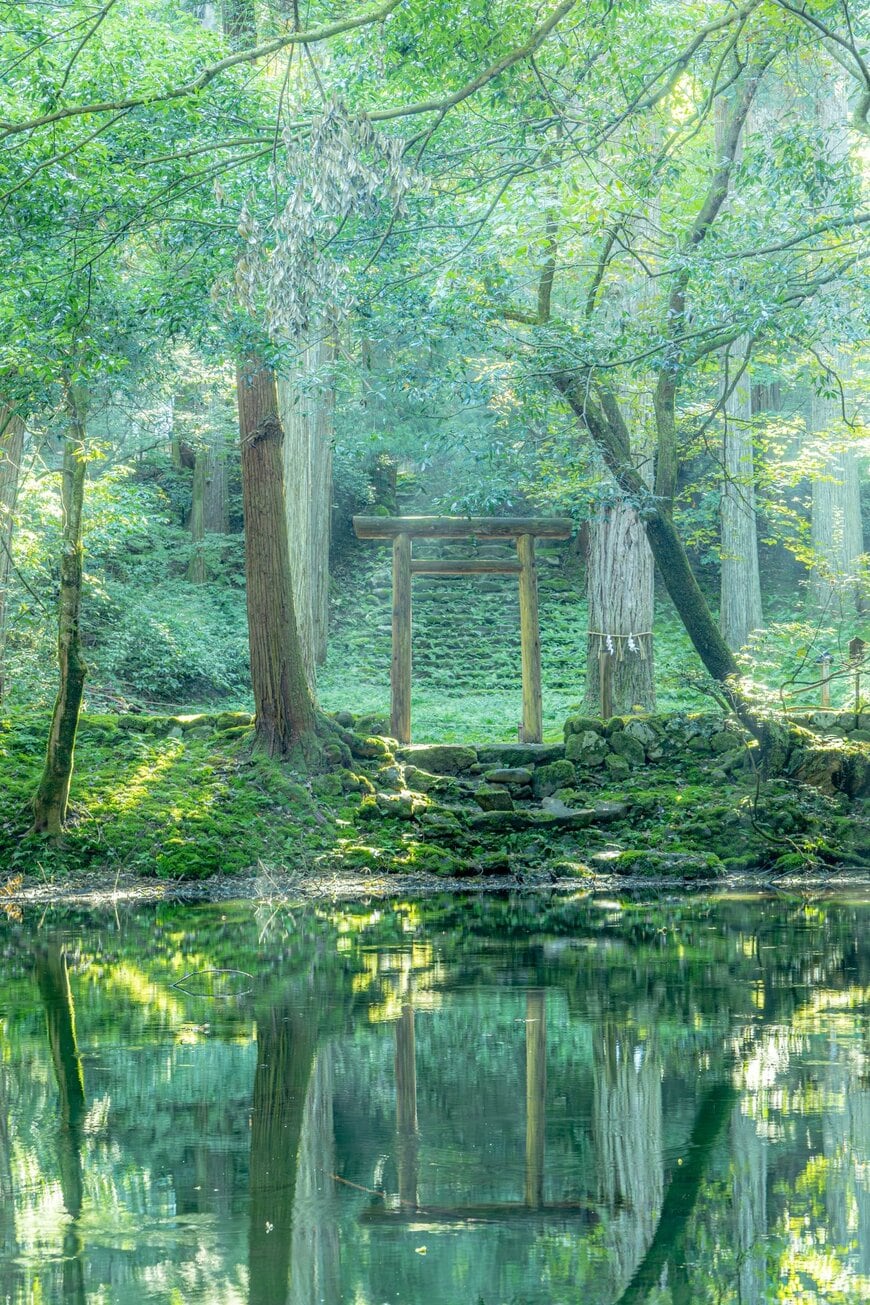 美しい緑にあふれた鳥居