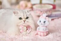 猫ちゃんをプリンセス扱いできちゃう！？ディズニーコラボの猫ハウスほか〈猫グッズ〉ゴージャスで素敵です