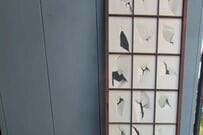 築40年の障子をDIYでリメイクするアイデア。木枠を黒く塗り障子紙の代わりにプラダンを貼ることで、昭和感のある建具が和×ヴィンテージな雰囲気に変わる実用的な工夫