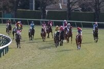 【競馬】中山競馬場で撮影された4コーナーの映像　16頭の馬たちがトコトコ歩く姿がかわいすぎる