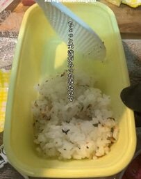 シングルファザーが作る【女子高生弁当】多彩なおかずがぎゅっと並んだ姿が話題