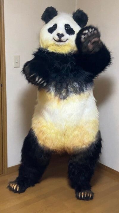 なんと、パンダの着ぐるみも制作中！
