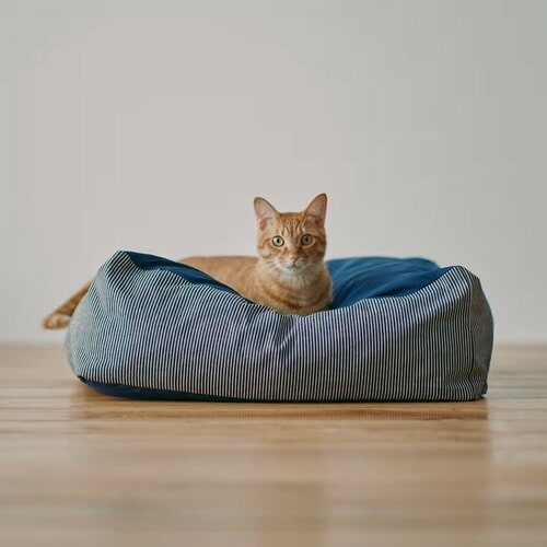 丸洗いできる　ペット用クッション