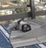 山に捨てられ弱っていた犬→レスキューのぬくもりに触れ、少しずつ心を開いていく姿に感動