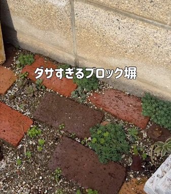 「これ可愛い！」殺風景なブロック塀の前→多肉植物あふれる〈アンティーク調ドア〉の寄せ植えに大変身！手作り感でおしゃれ度アップ