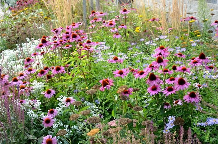beekeepx/istockphoto.com