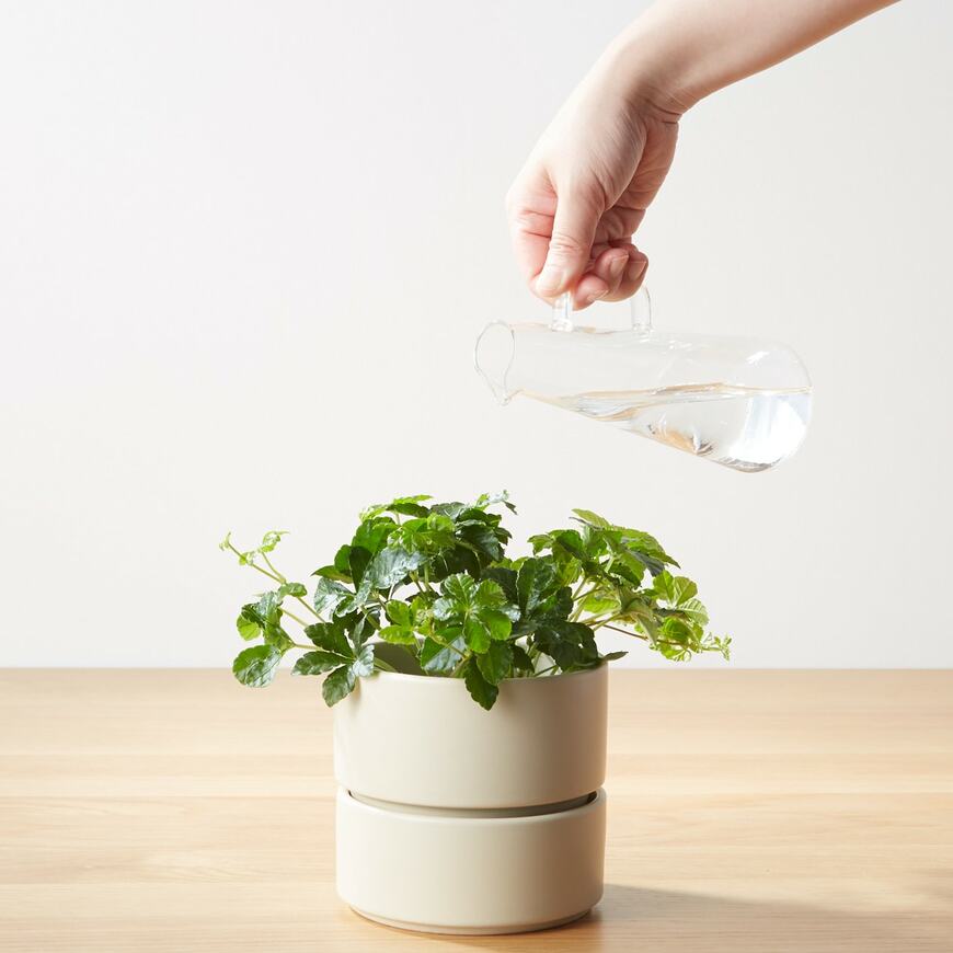 出所：無印良品ネットストア ガラス器　ピッチャー型