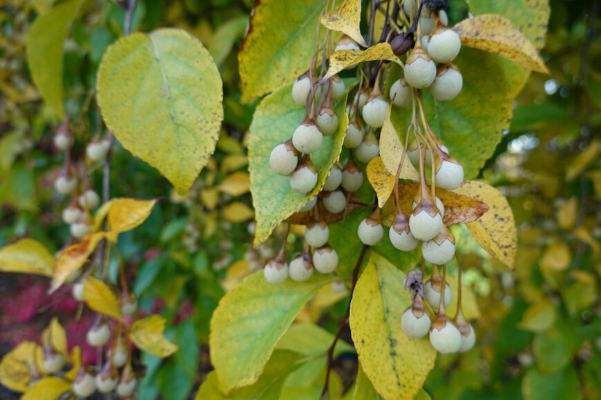 LifeisticAC//shutterstock.com