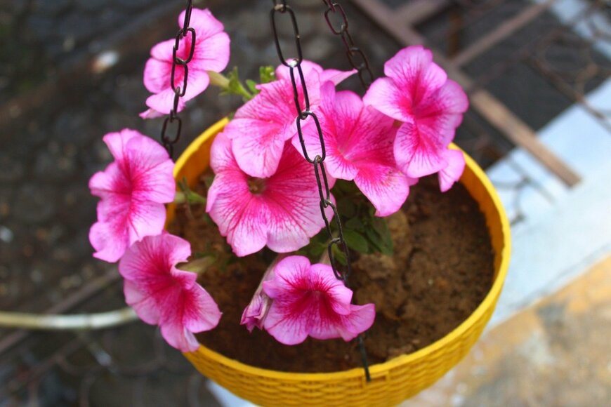 dheeraj11/istockphoto.com