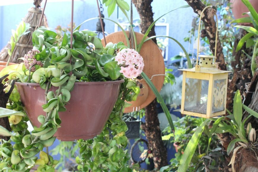 Rodrigo Secolin/shutterstock.com