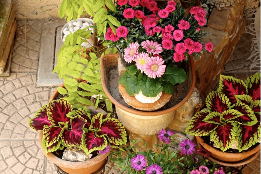 Larisa13/istockphoto.com