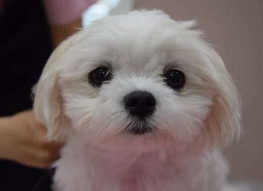 出所：＠etoile_0403