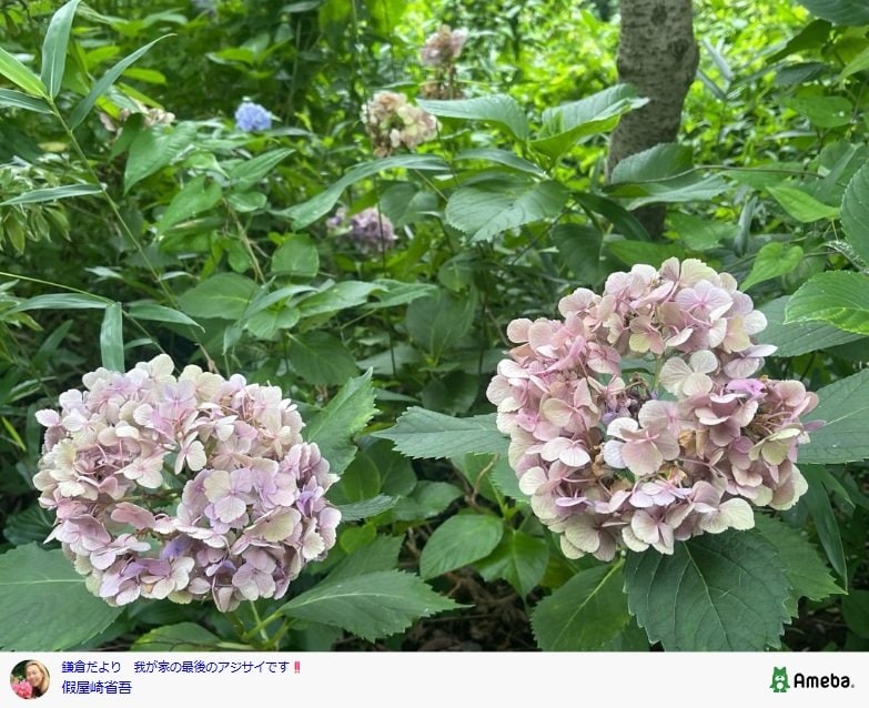 出所：假屋崎省吾のAmebaブログ 参照日：2025年7月18日