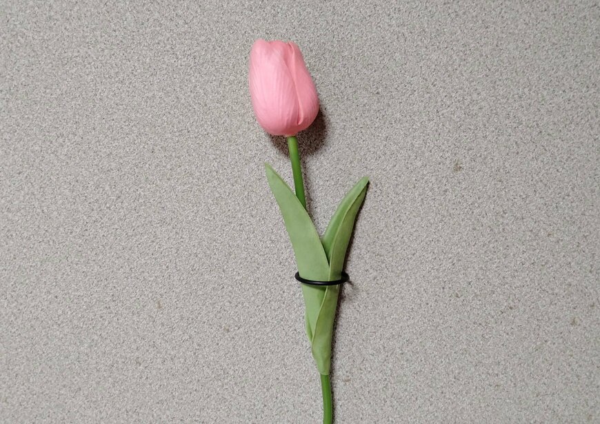 筆者撮影（セリア、壁掛け用一輪挿し 2P）