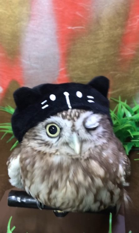 出所：@cr8673.hiro