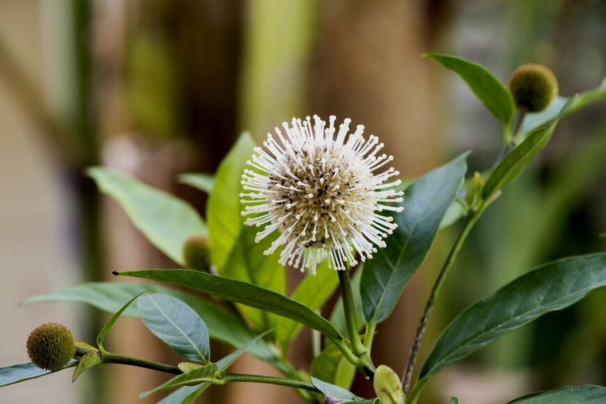 wasanajai/Shutterstock.com