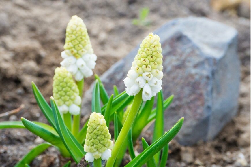 Kristyna Sindelkova/istockphoto.com
