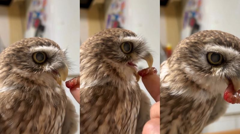 出所：@cr8673.hiro