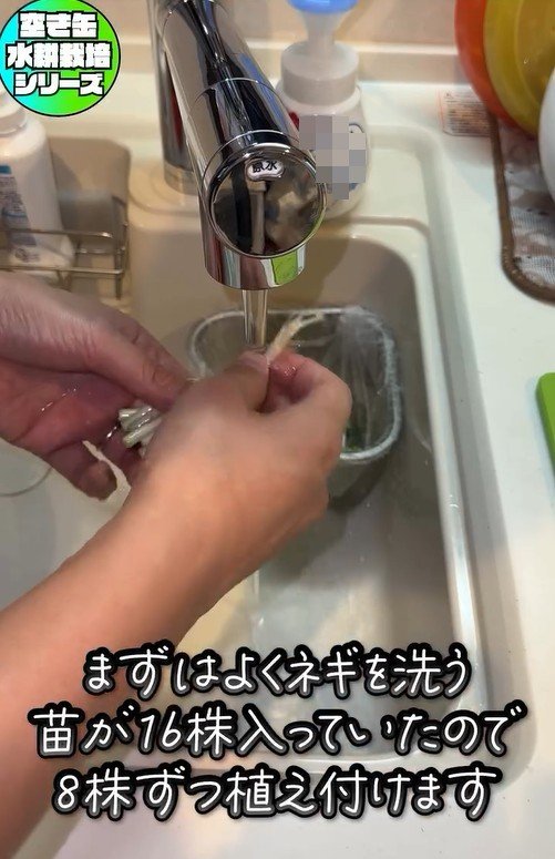 出所：mikanbo_ya19_87