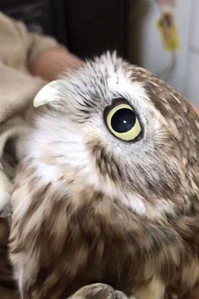 出所：@cr8673.hiro