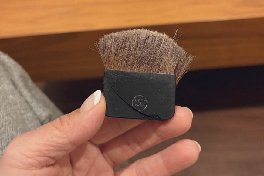 自宅で発見した「壊れたシャネルのブラシ」　絶対に「何かを知っていそうな犬」に思わず笑ってしまう