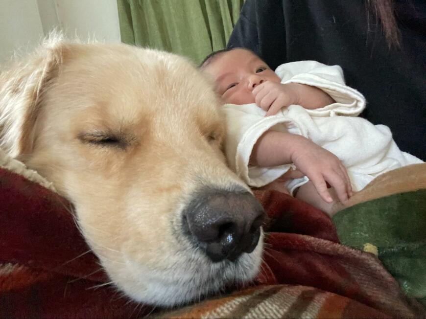 出所：@elmo_golret