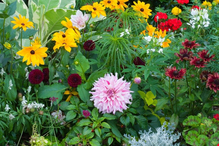 david léotard/istockphoto.com