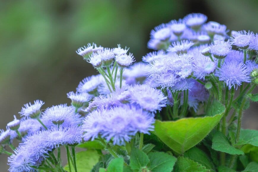 kai foret/shutterstock.com