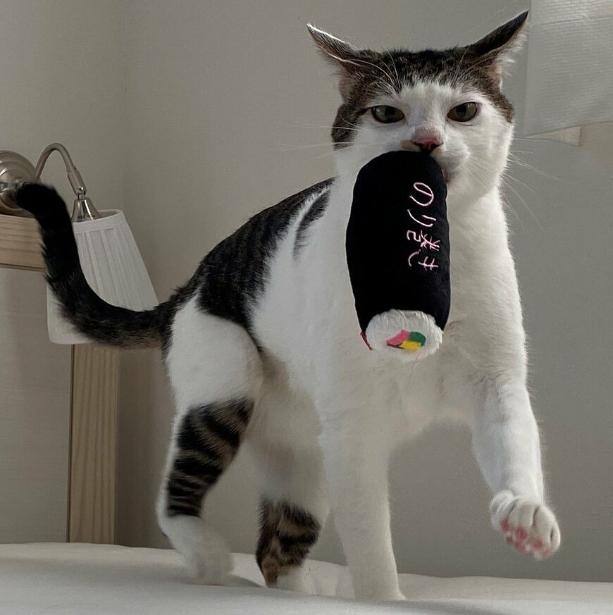 出所：@Saeroyi_cat