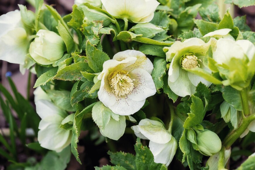 Galina Sharapova/istockphoto.com