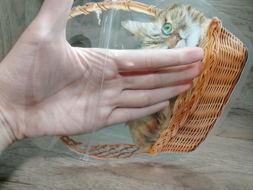 筆者撮影（セリア、持ち手付ギフトバッグ3P 猫）