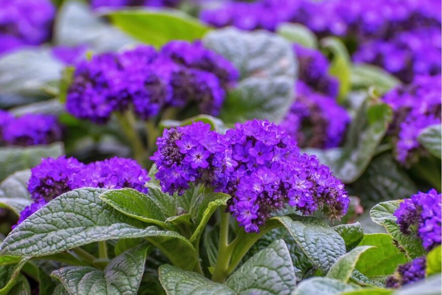 NataliaVo/istockphoto.com