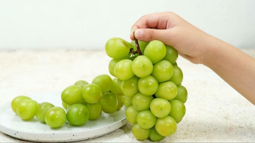 【インコのかくれんぼ】あなたはインコですかブドウですか？「シャインマスカット色」のインコが紛らわしくて見つからない！