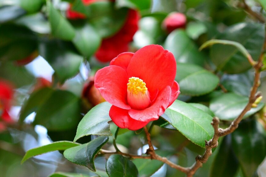 Johnwood Kim/istockphoto.com