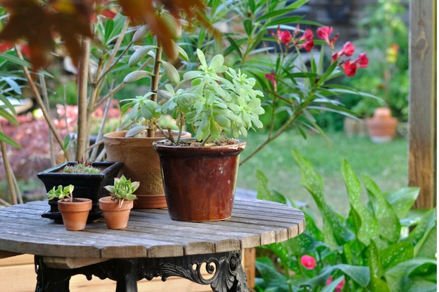 sanddebeautheil/istockphoto.com