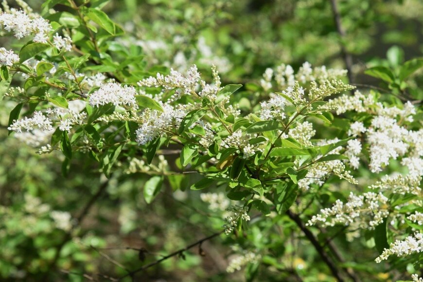 undefined undefined/istockphoto.com