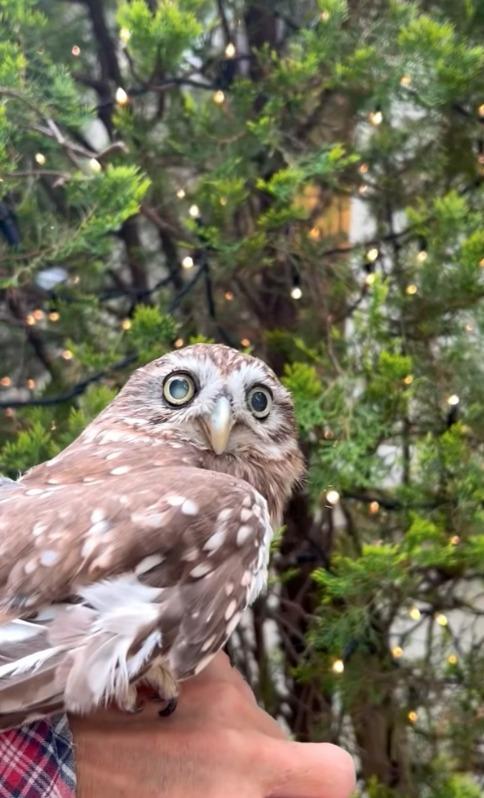 出所：@cr8673.hiro