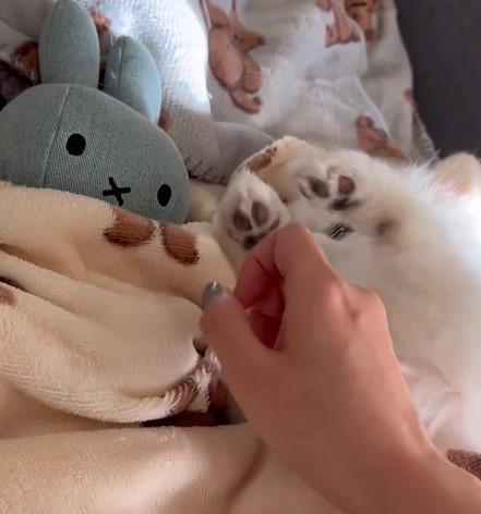 出所：@boku_ponchan