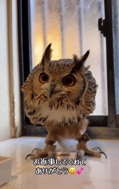 出所：@ba_chantolatte