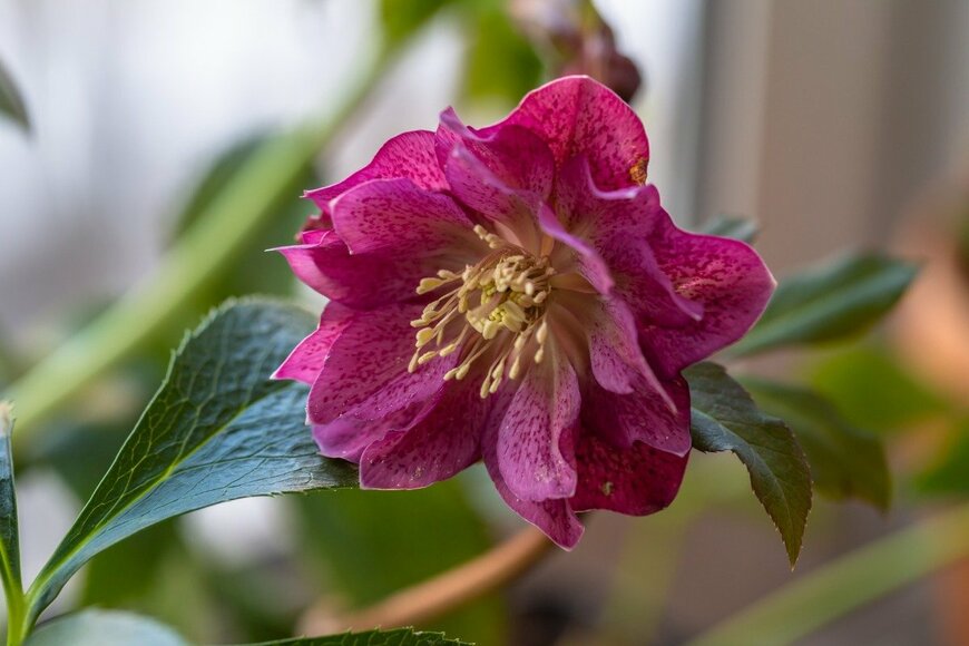 Olga Seifutdinova/istockphoto.com