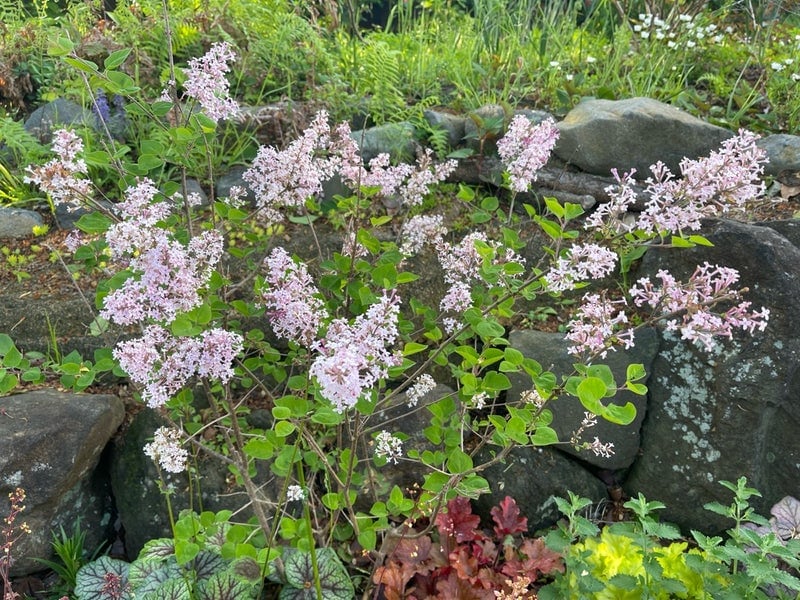 出所：假屋崎省吾のAmeba公式ブログ　参照日：2026-04-20