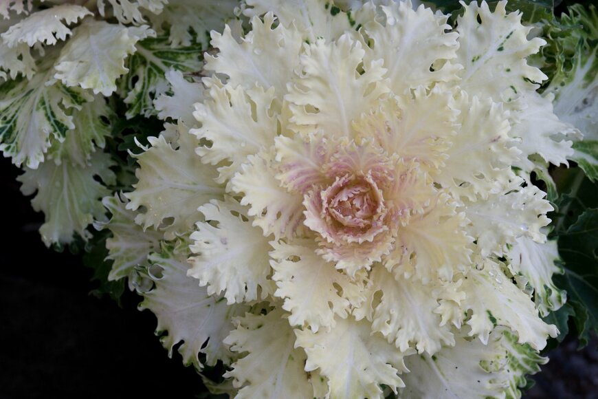 Zigzag Mountain Art/Shutterstock.com