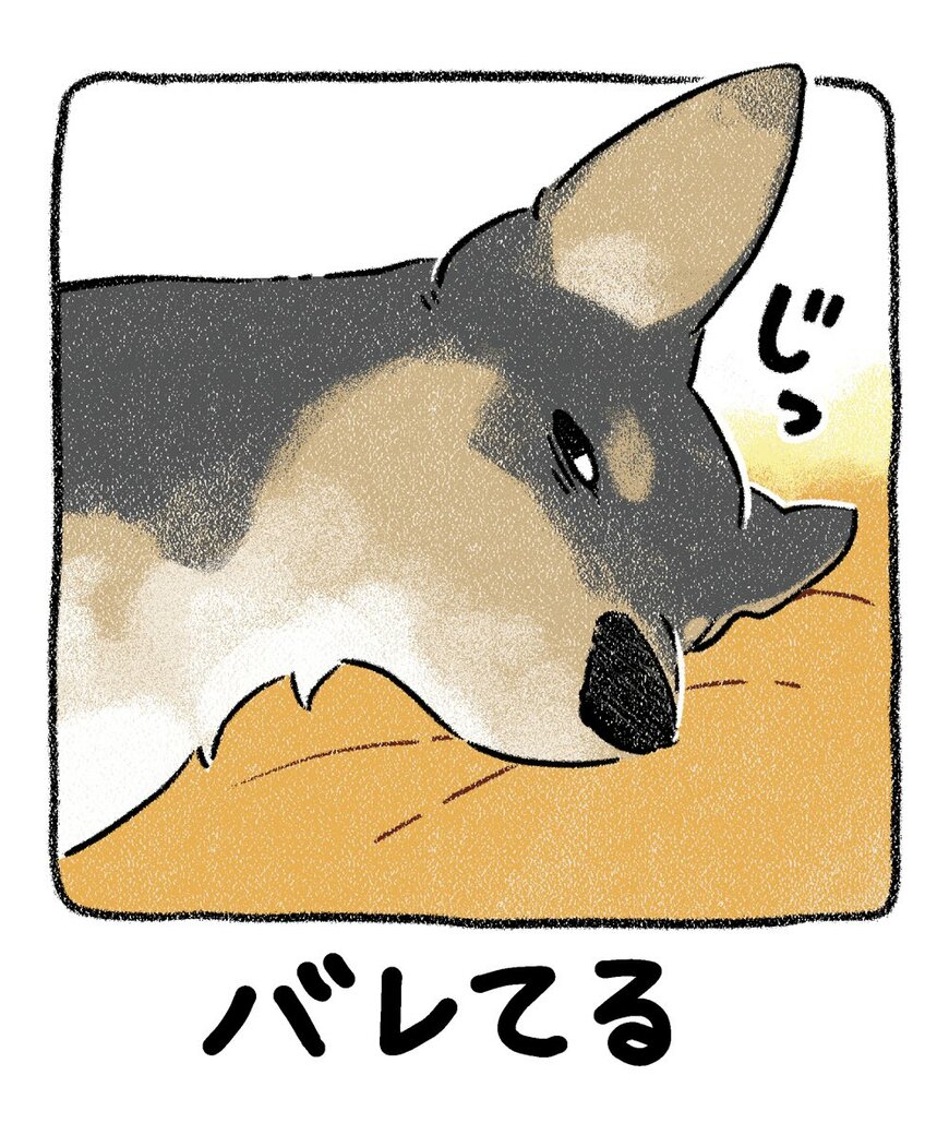 出所：@yosimofurou