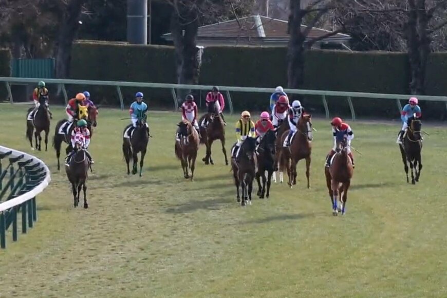 【競馬】中山競馬場で撮影された4コーナーの映像　16頭の馬たちがトコトコ歩く姿がかわいすぎる