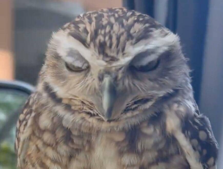 投稿動画のワンシーン