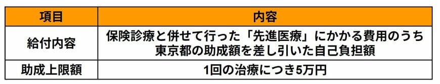 自治体独自の助成金
