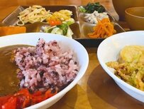 大阪の道の駅で人気の「地元野菜ビュッフェ」とは？揚げたてのてんぷらから自家製カレーまで「最高すぎる」