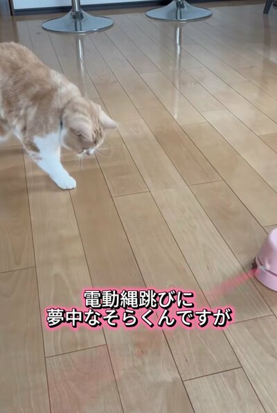 おもちゃを見つめるそらくん