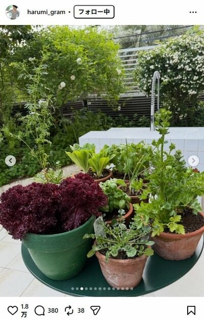 栗原はるみのInstagram投稿