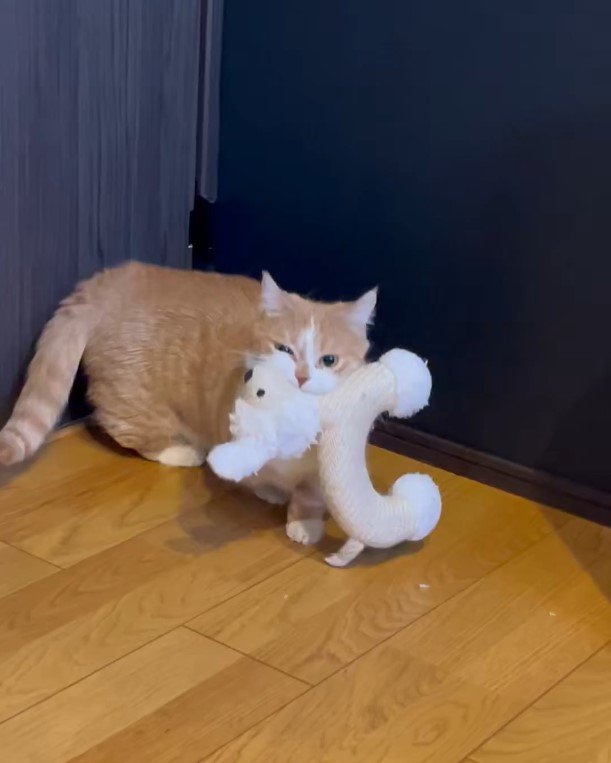 出所：@kotaro_0315